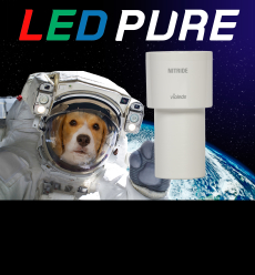 LED Pure